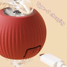 Dog Cat Interactive Ball Toy