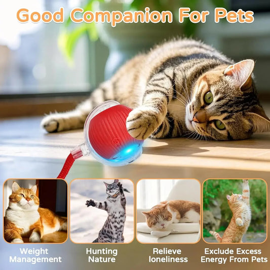 Dog Cat Interactive Ball Toy