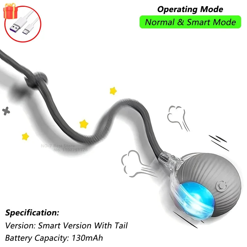 Dog Cat Interactive Ball Toy