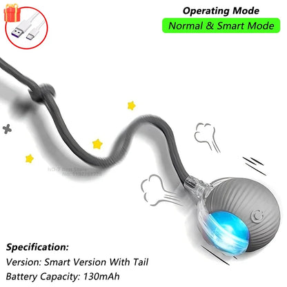 Dog Cat Interactive Ball Toy