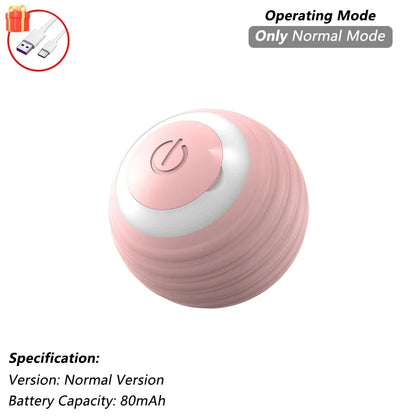 Dog Cat Interactive Ball Toy