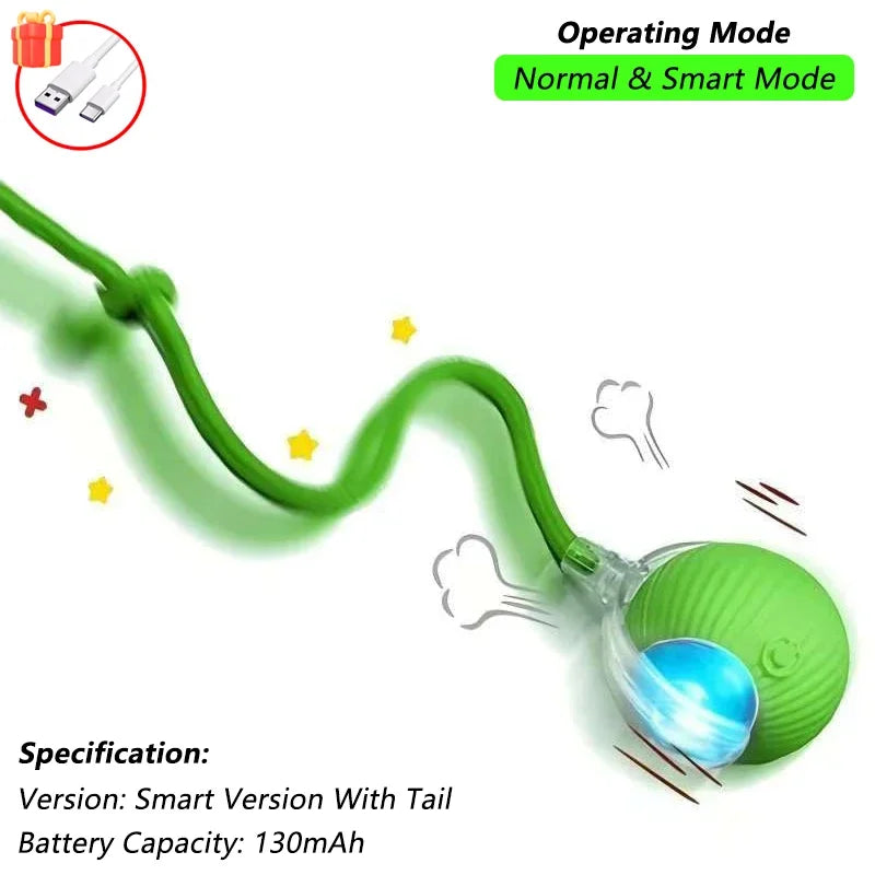 Dog Cat Interactive Ball Toy