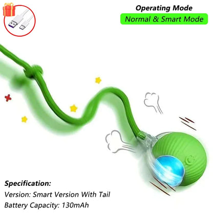 Dog Cat Interactive Ball Toy